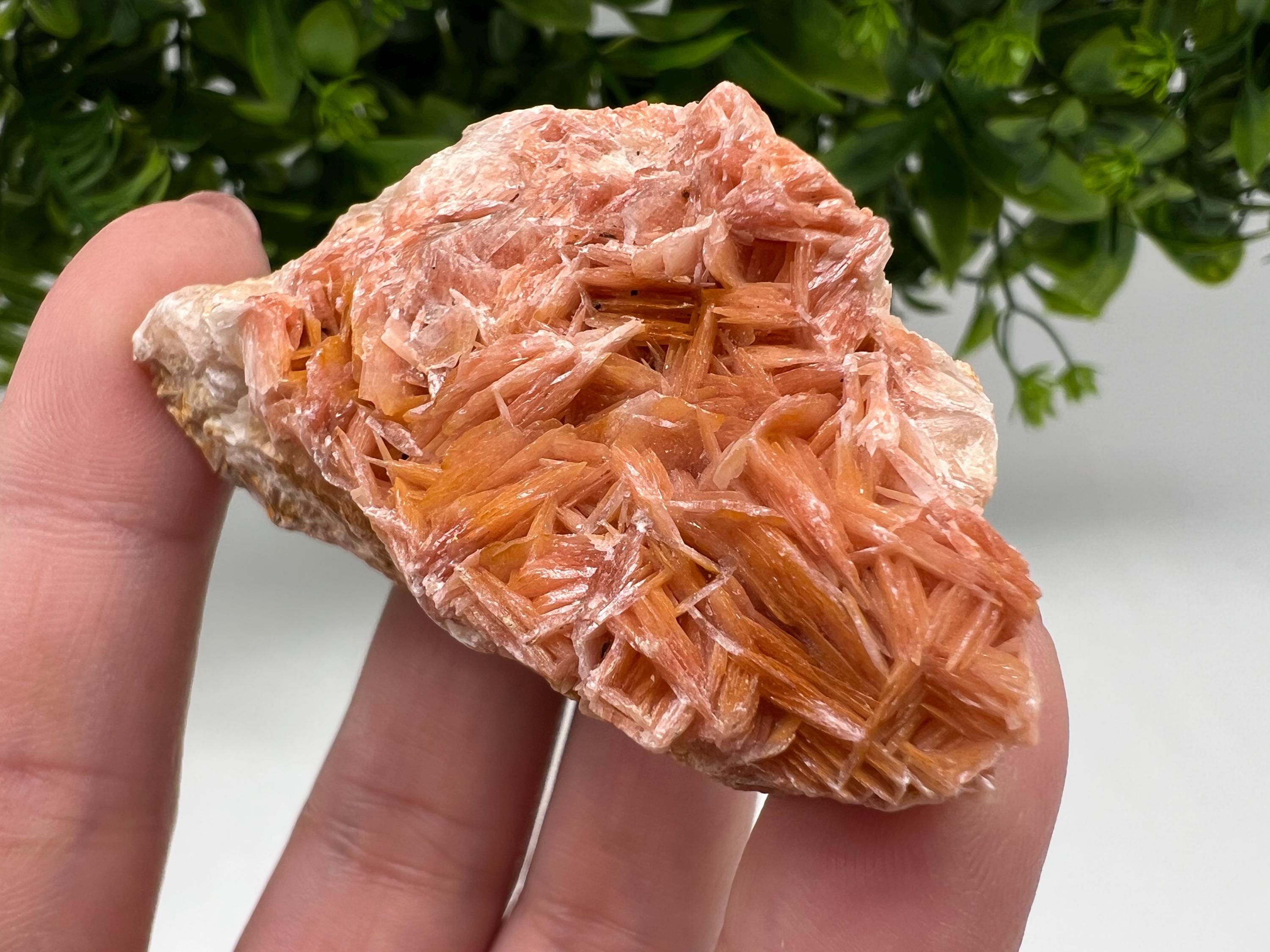 Wonderful Baryte with Cerussite on Galena from Morocco,Crystal, Mineral,Specimen,Cluster,Crystals,Barite Crystal,Cerussite Crystal,Specimen