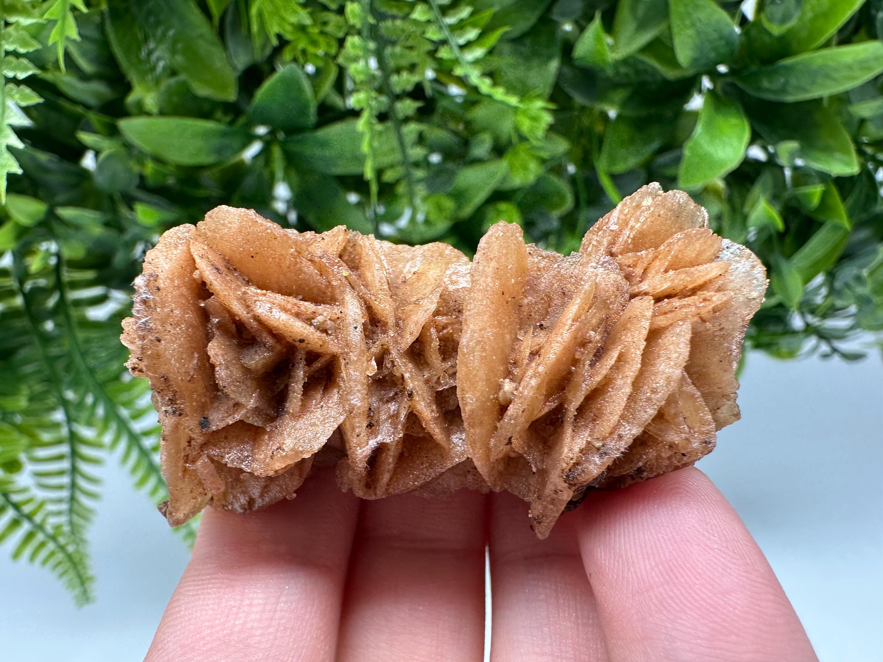 Natural Desert Rose Crystal - Root Chakra Healing Selenite Brown Stone - Vitality & Creativity Boost - Spiritual Gift for Home Decor,mineral