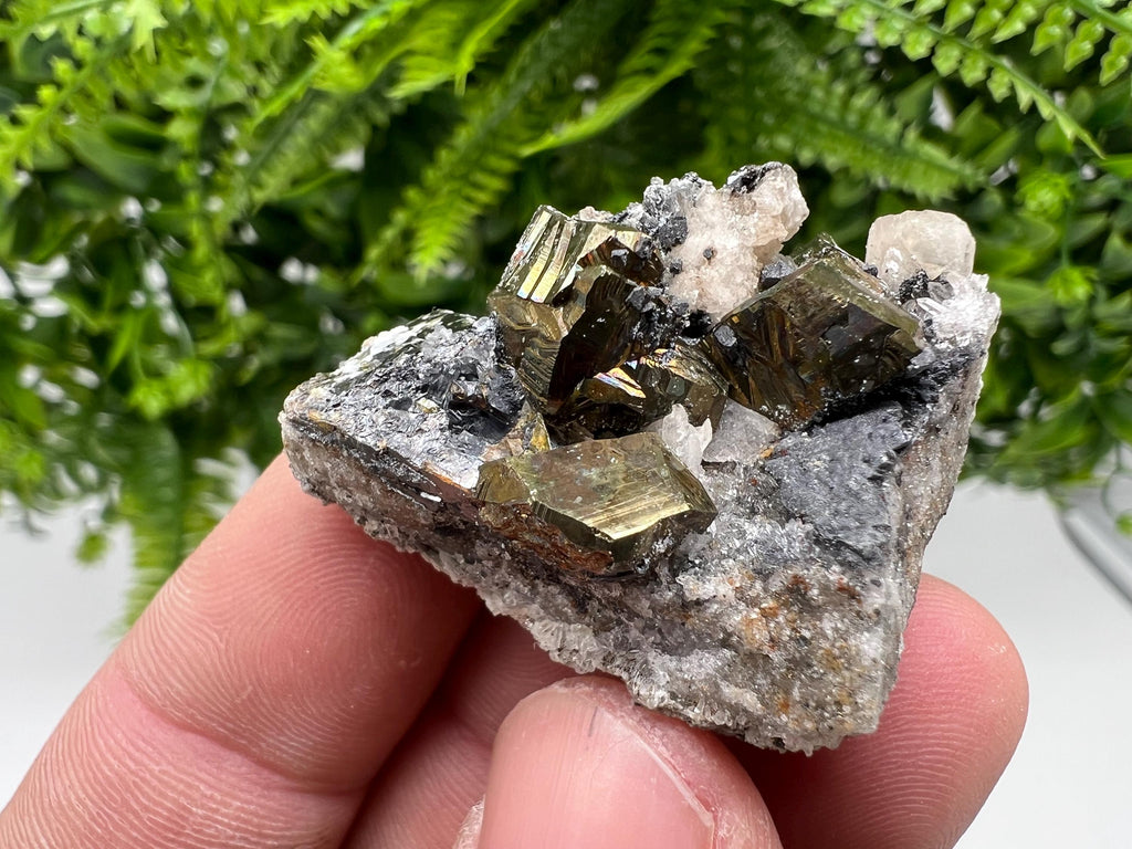 Pyrite with Hematite, Sphalerite and Quartz Specimen, Bulgaria