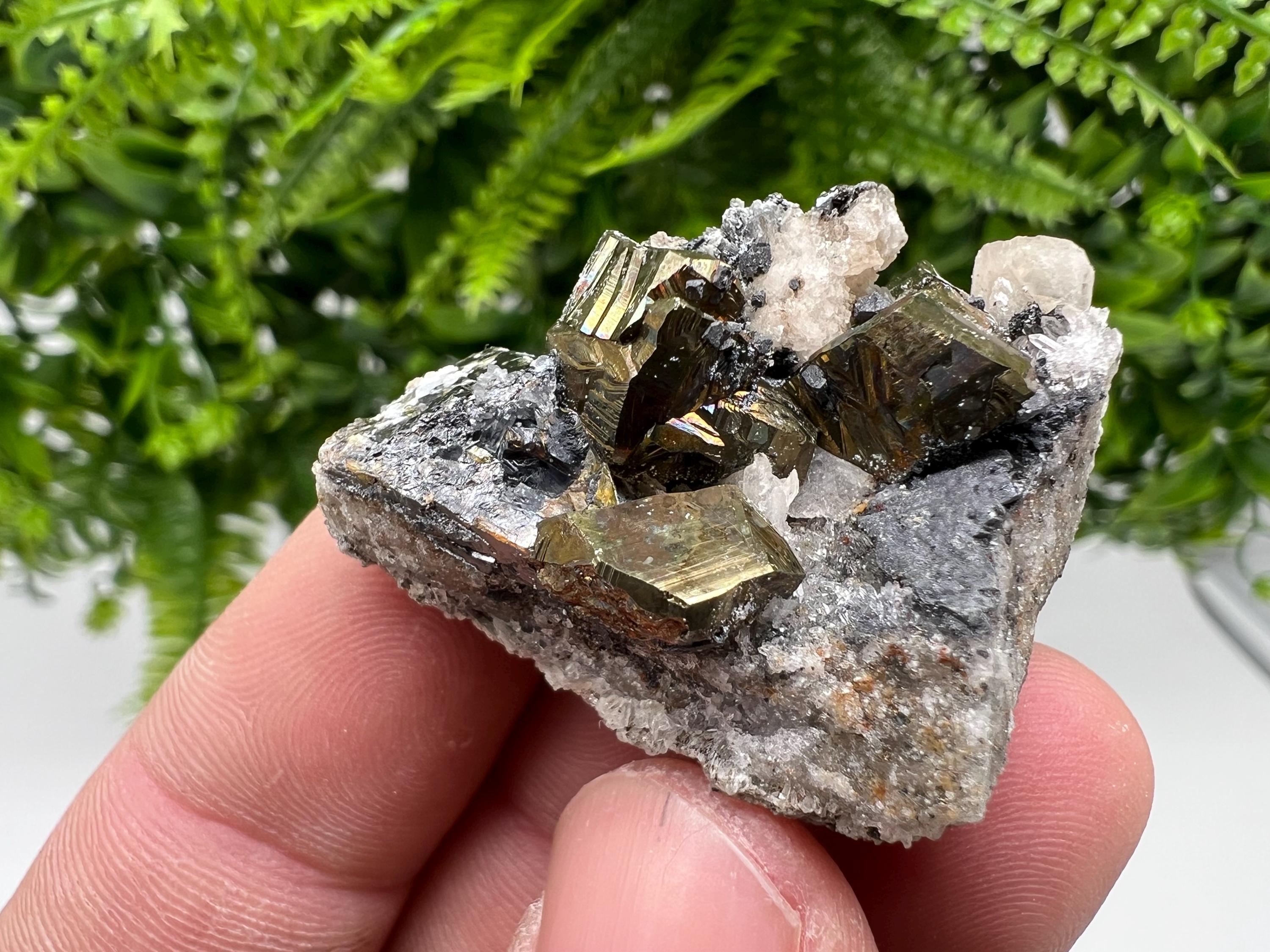 Pyrite with Hematite, Sphalerite and Quartz Specimen, Bulgaria