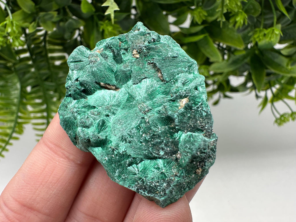Polished Malachite Crystal from Congo, Green Specimen, Chakra Mineral Stone