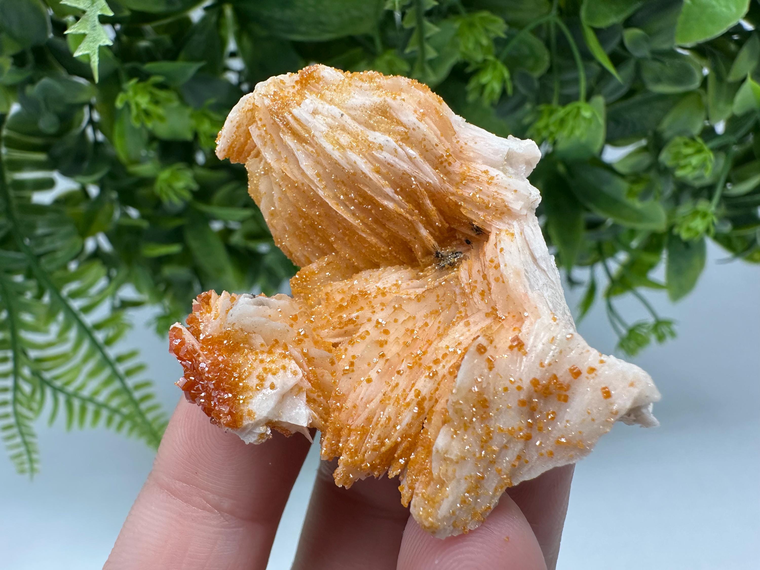 Red Vanadinite on Barite Crystal Specimen, Moroccan Mineral Cluster