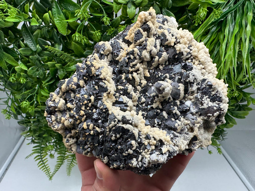 Galena Dolomite Cluster, Krushev dol Bulgaria Mineral Specimen