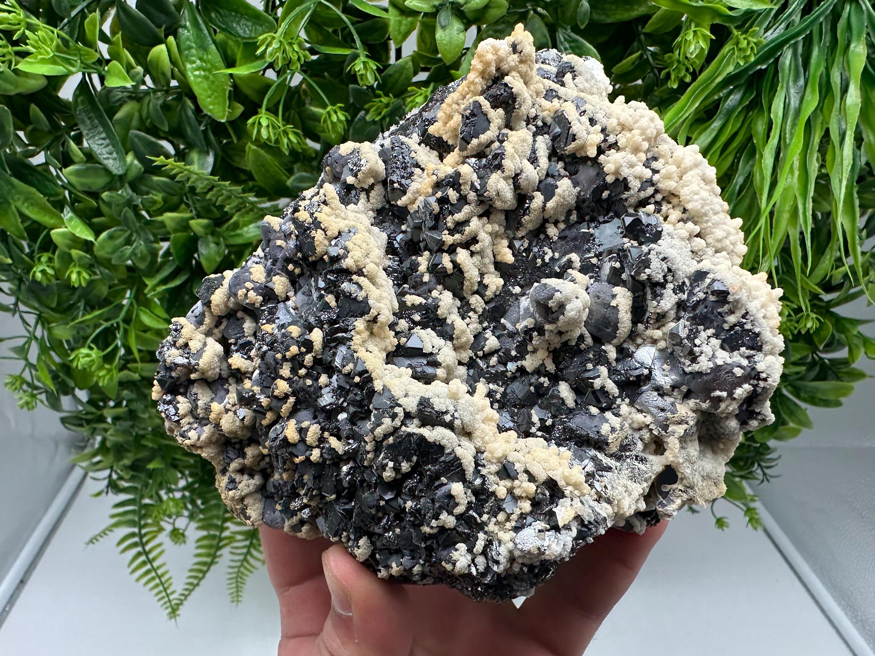 Galena Dolomite Cluster, Krushev dol Bulgaria Mineral Specimen