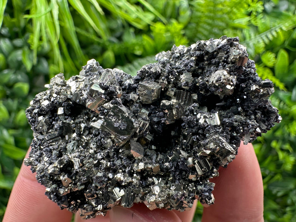 Pyrite on Quartz Needles, Borieva Mine Bulgaria, Mineral Specimen