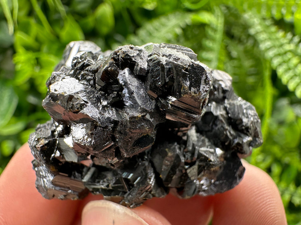 Shiny Galena with Sphalerite, Rare Crystal Decor, Borieva Mine Bulgaria