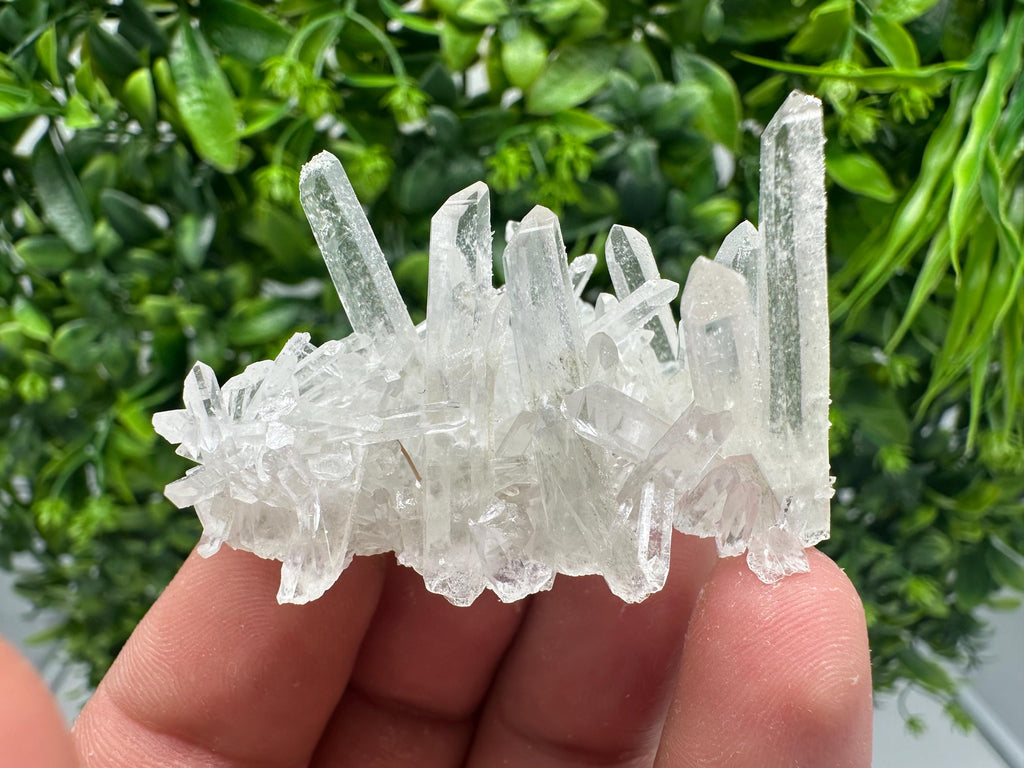 Transparent Quartz on Chlorite Matrix, Borieva Mine, Bulgaria