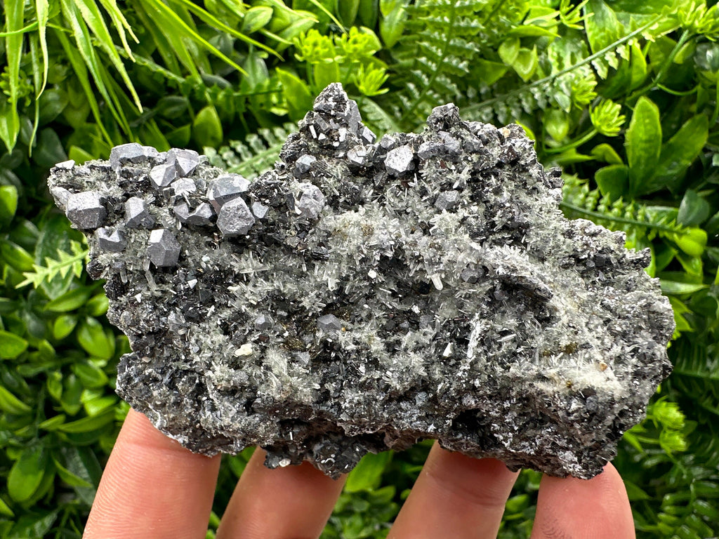 Sphalerite Pyrite on Quartz, Bulgaria Mineral Specimen (10/7/3.5 cm)