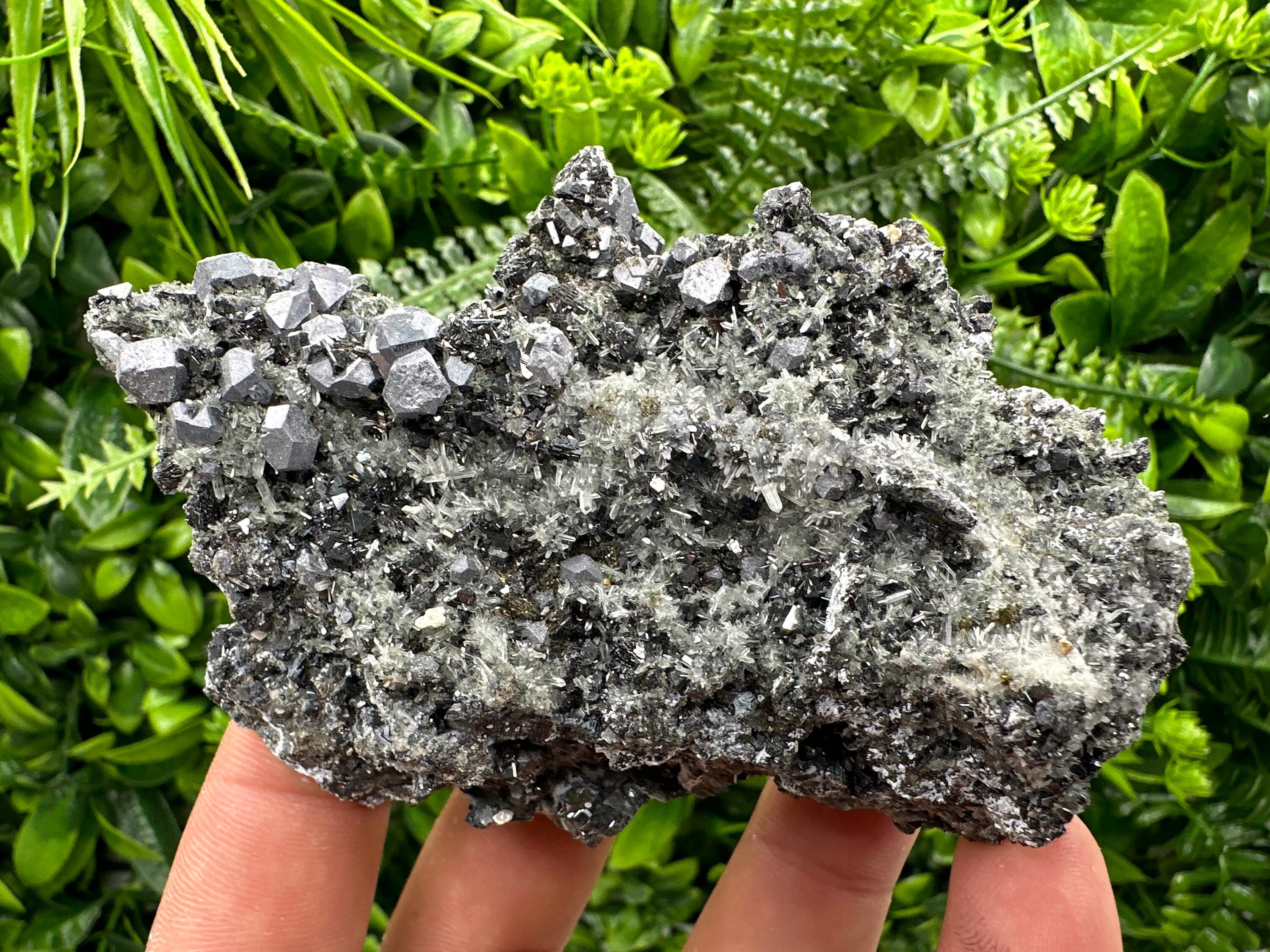 Sphalerite Pyrite on Quartz, Bulgaria Mineral Specimen (10/7/3.5 cm)