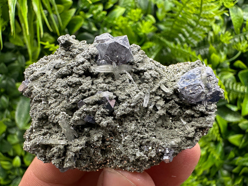 Galena Spinel Law Crystal on Quartz & Chlorite, Borieva Bulgaria