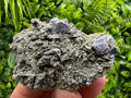 Galena Spinel Law Crystal on Quartz & Chlorite, Borieva Bulgaria