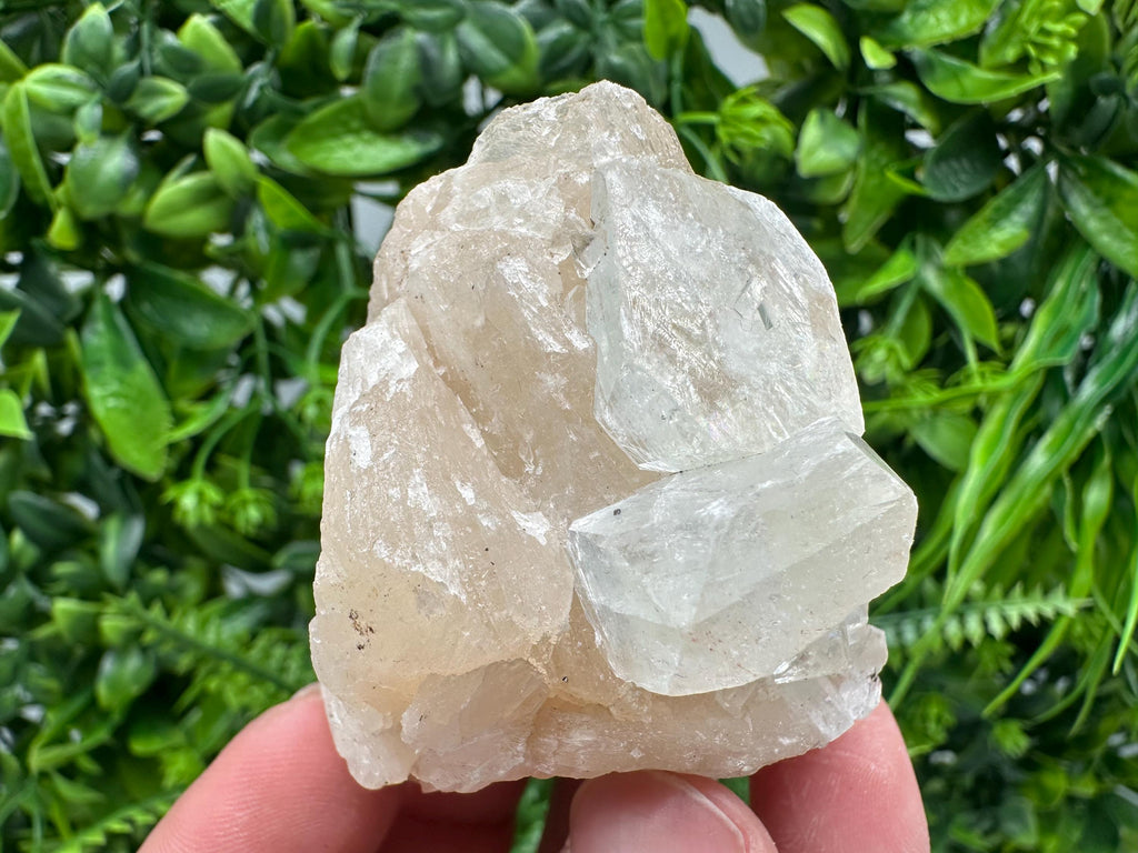Apophyllite Stilbite on Chalcedony, India Mineral Specimen