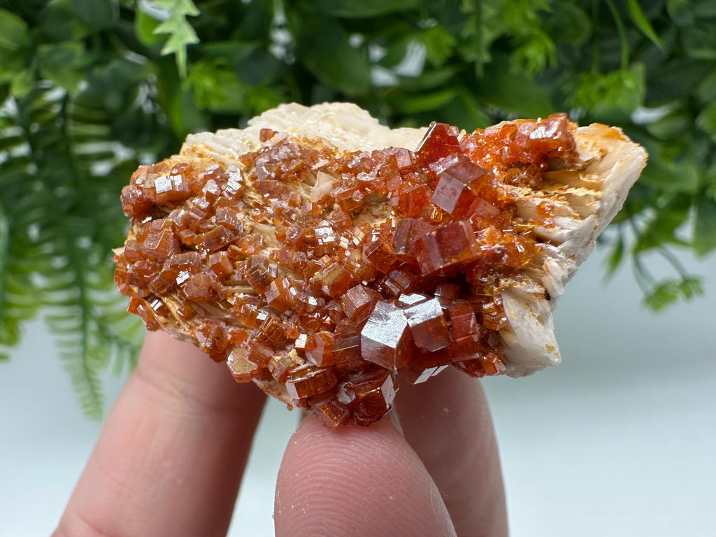 Red Vanadinite Crystal Cluster on Barite Matrix from Morocco