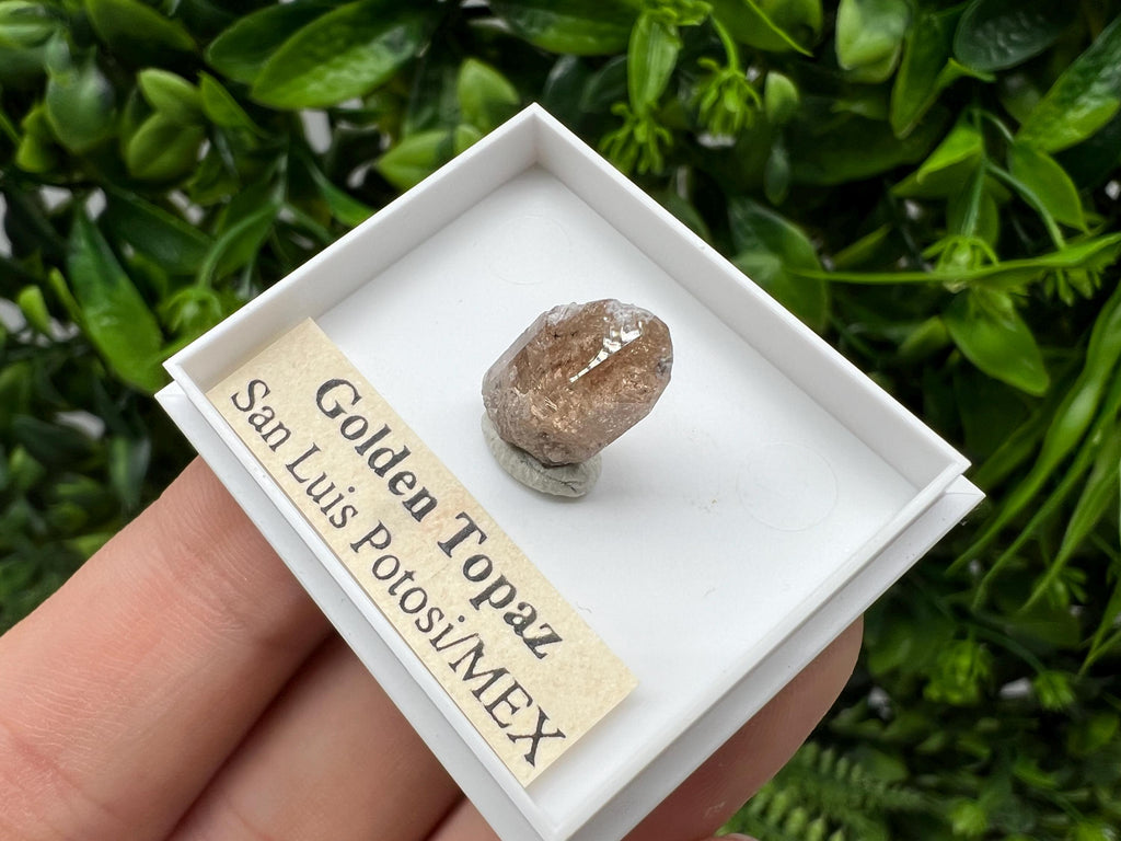 Beautiful Golden Topaz from Mexico,collection piece Crystal,Mineral,collectibles,Collectors, Natural Crystal, Minerals from Mexico,original,