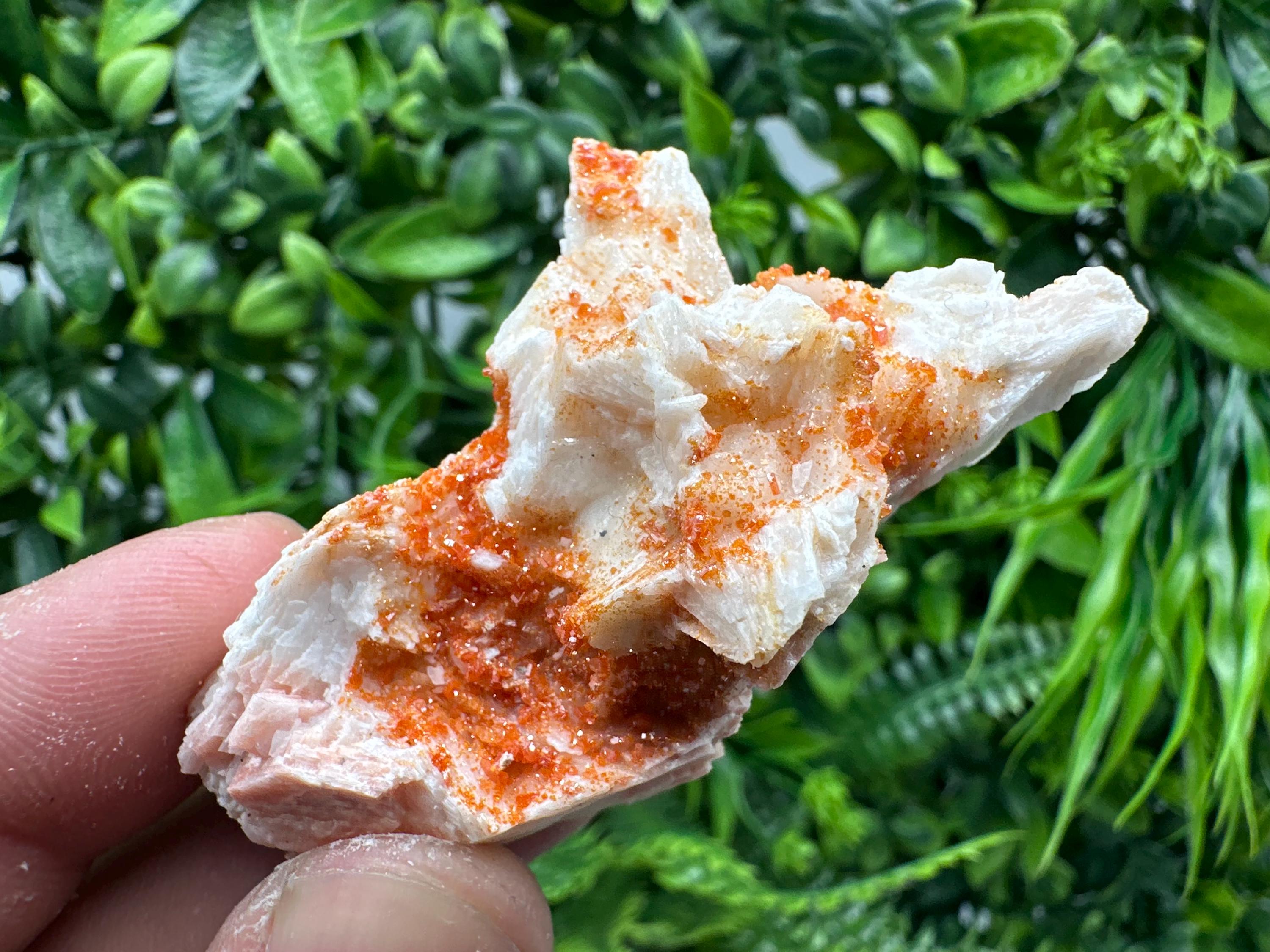 Red Vanadinite on Barite, Moroccan Crystal Cluster