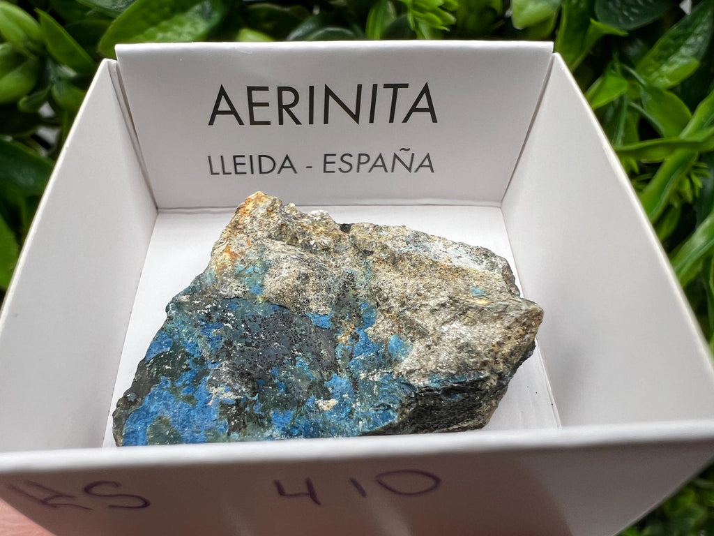 Rare Raw Aerinite Mineral Specimen: Collection Crystal from Lleida, Spain (3.5/3 cm