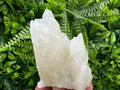 Rare UV Calcite Cluster: Djurcovo Mine, Bulgaria - Home Decor