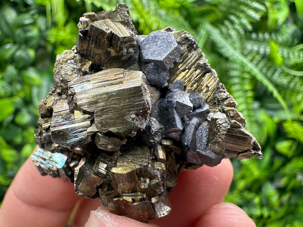 Pyrite with Hematite Specimen, Madan Bulgaria Mineral Gift