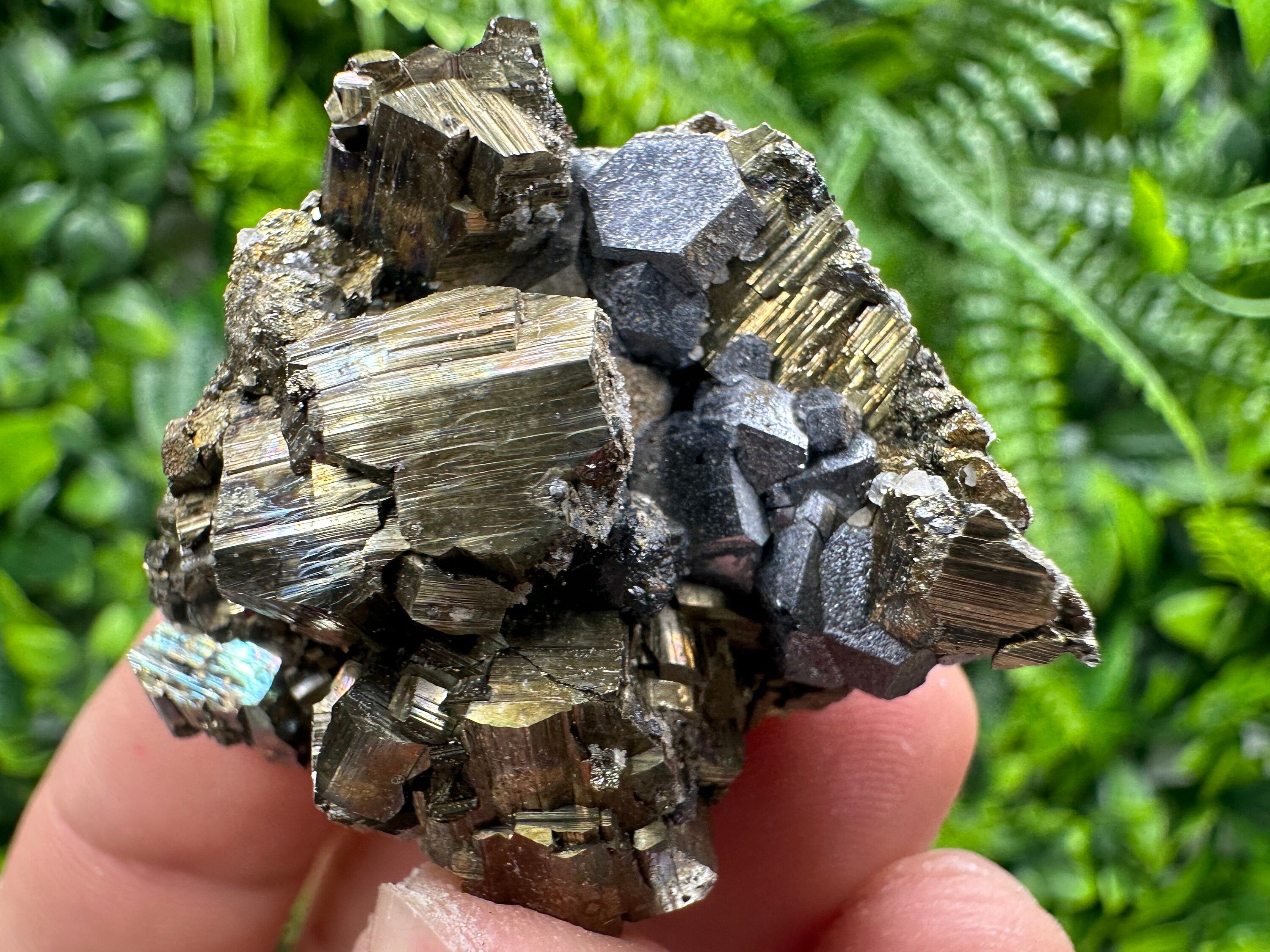 Pyrite with Hematite Specimen, Madan Bulgaria Mineral Gift