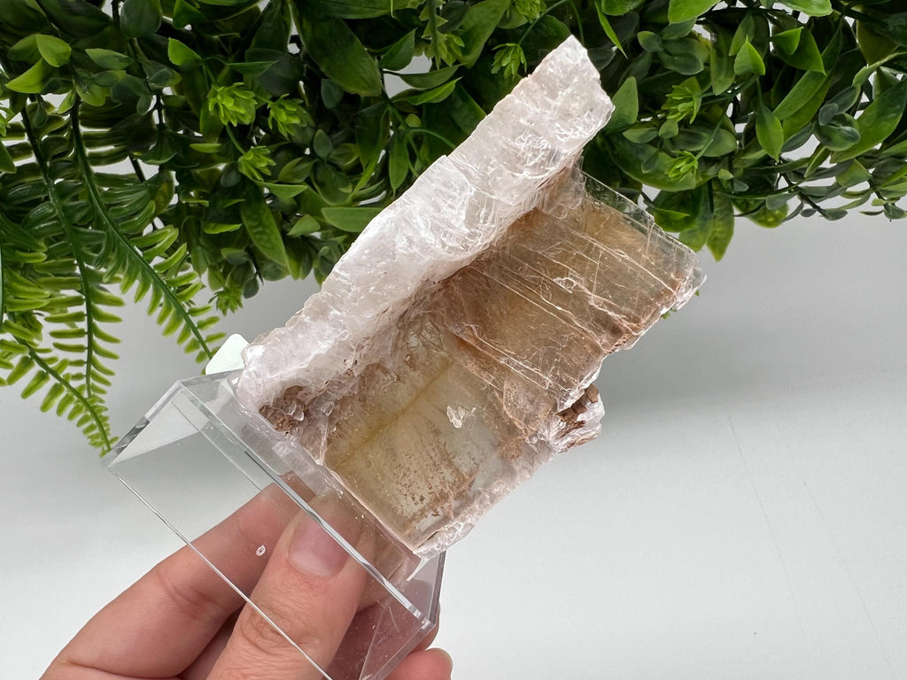 Golden Phantom Selenite Slab: Utah Raw Crystal Wand (5.5/8cm)