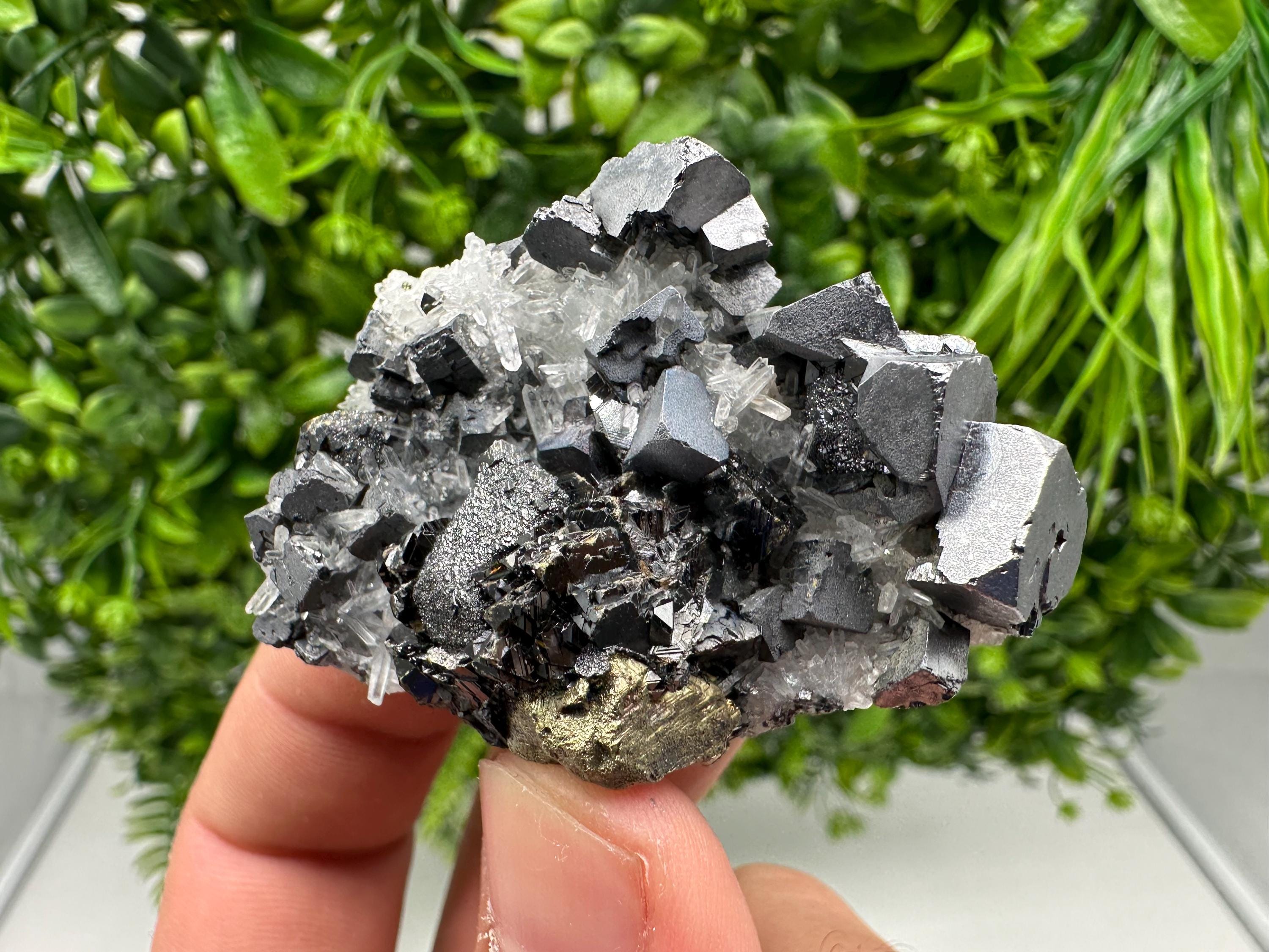 Aesthetic Natural shiny Galena whit Siderite and Quartz from 9 th September mine,Bulgaria,collection specimen,rare galena,Galena cluster