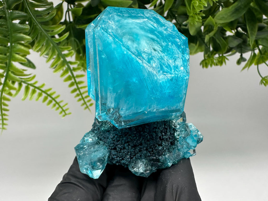 Exceptional Turquoise ALUNITE Aqua Crystal on Matrix UV Active, lab minerals