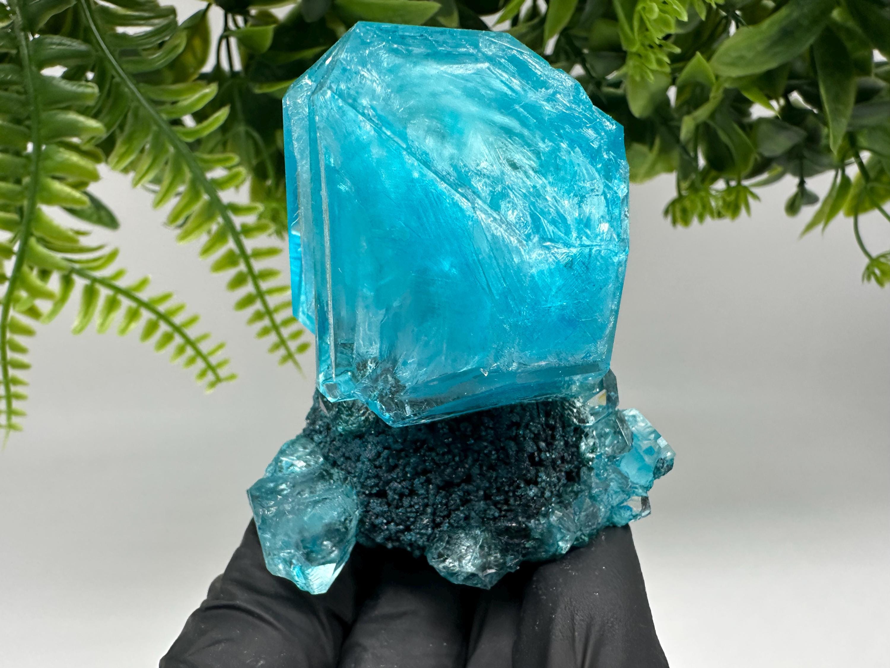 Exceptional Turquoise ALUNITE Aqua Crystal on Matrix UV Active, lab minerals