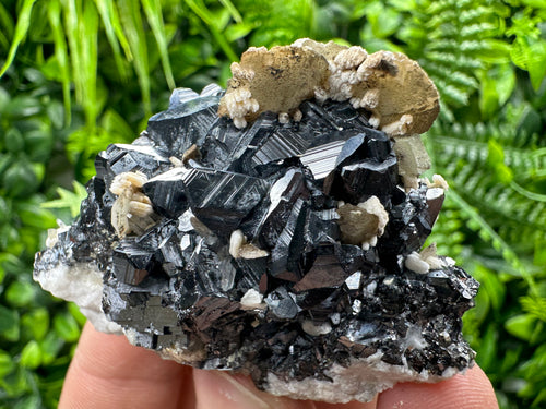 Calcite with Chlorite on Sphalerite, Borieva Mine Mineral Specimen