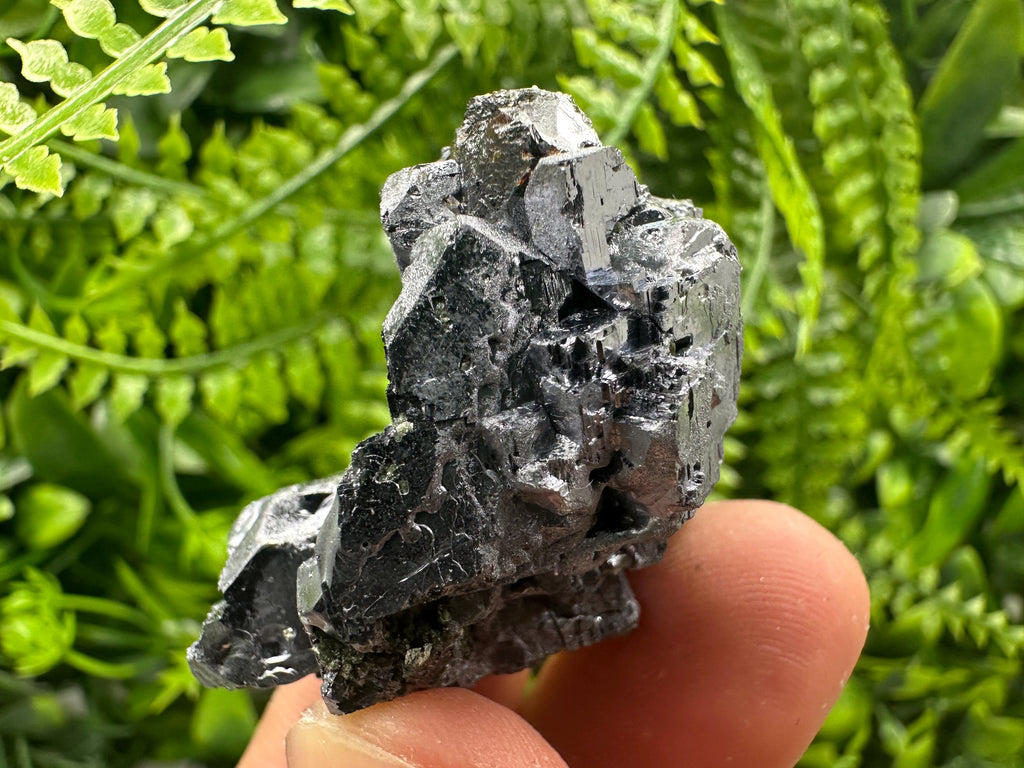 Shiny Galena Cluster: Borieva Mine, Madan, Bulgaria