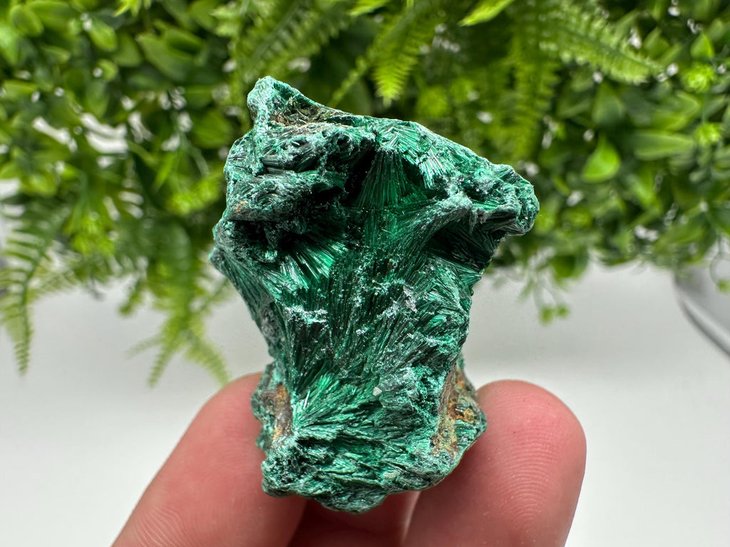 Green Polished Malachite Crystal Specimen from Congo