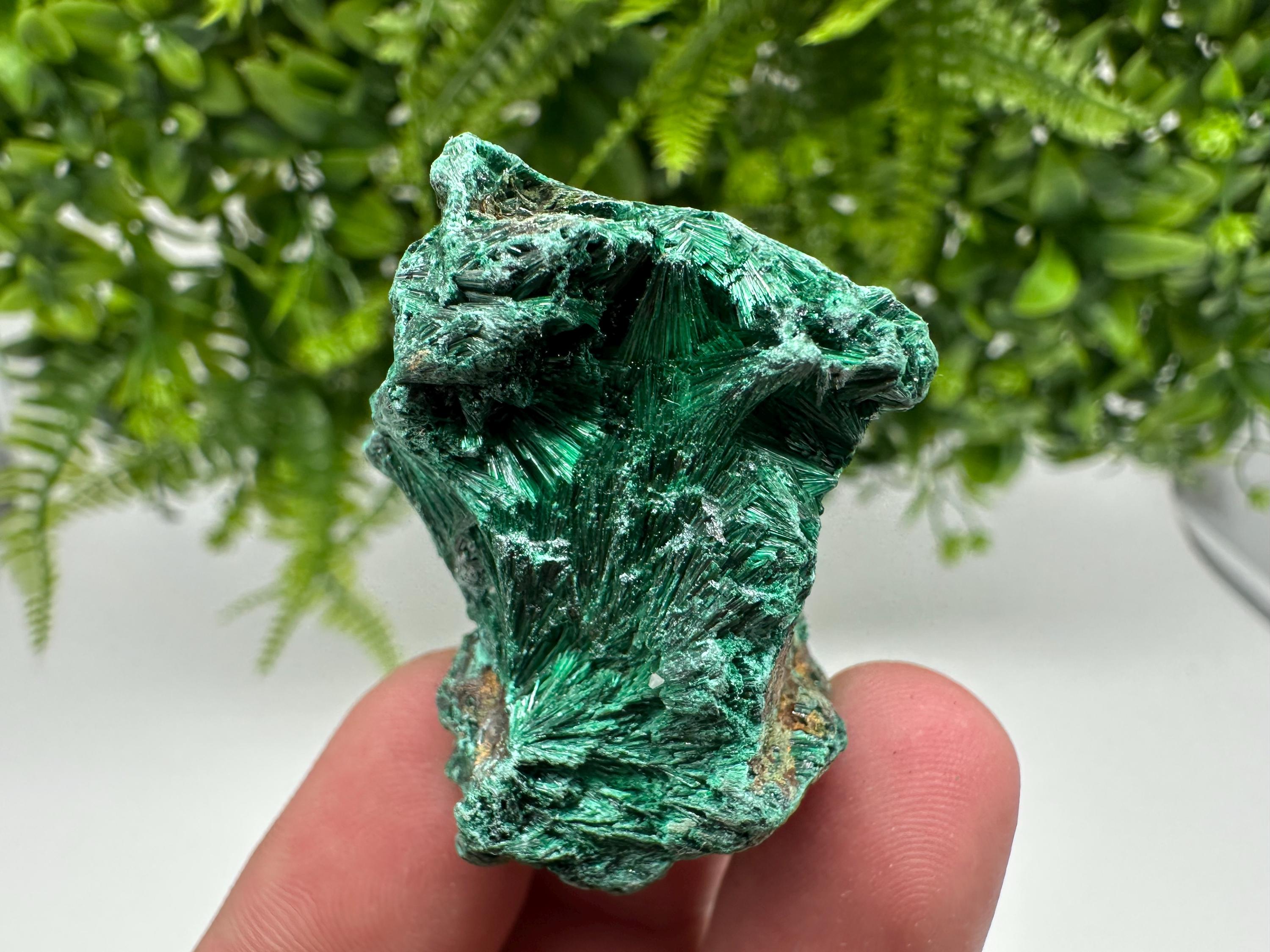 Green Polished Malachite Crystal Specimen from Congo