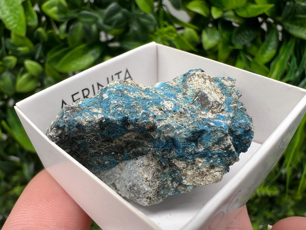 Rare Raw Aerinite Mineral Specimen: Lleida, Spain Crystal