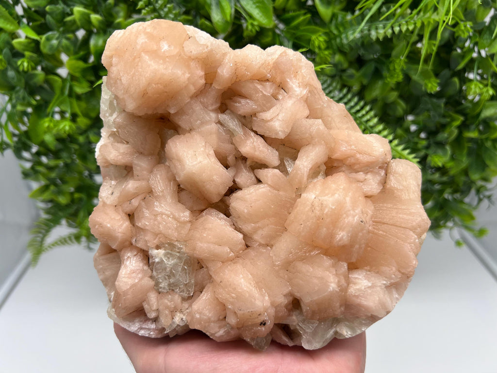 Apophyllite Stilbite on Chalcedony, India Crystal Specimen