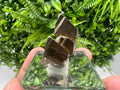Mini Rare crystallisation Pyrite,Borieva mine,Bulgaria,floating Pyrite,golden Pyrite,Pyrite cluster,mini Collection specimen,Rainbow Pyrite