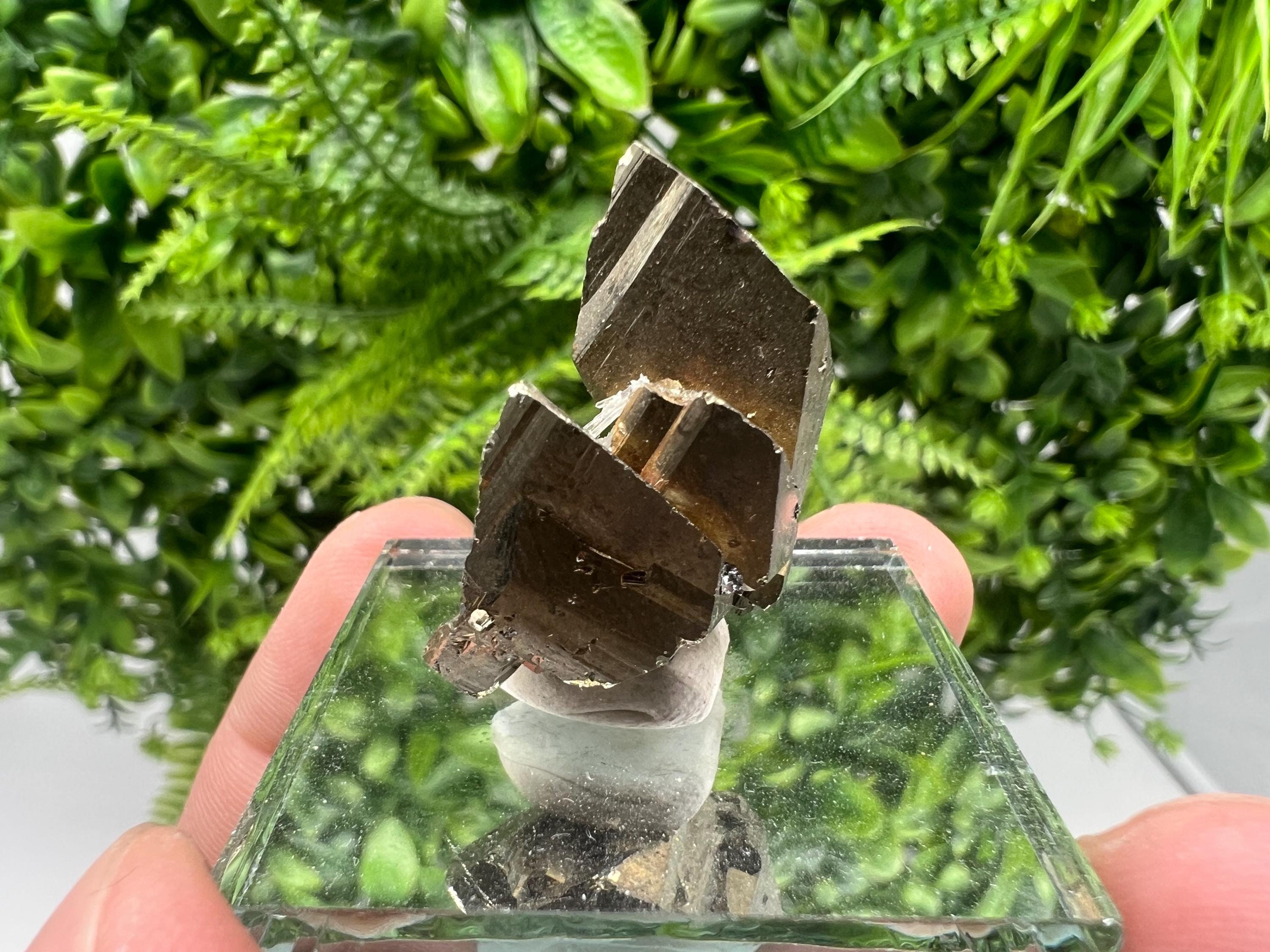 Mini Rare crystallisation Pyrite,Borieva mine,Bulgaria,floating Pyrite,golden Pyrite,Pyrite cluster,mini Collection specimen,Rainbow Pyrite