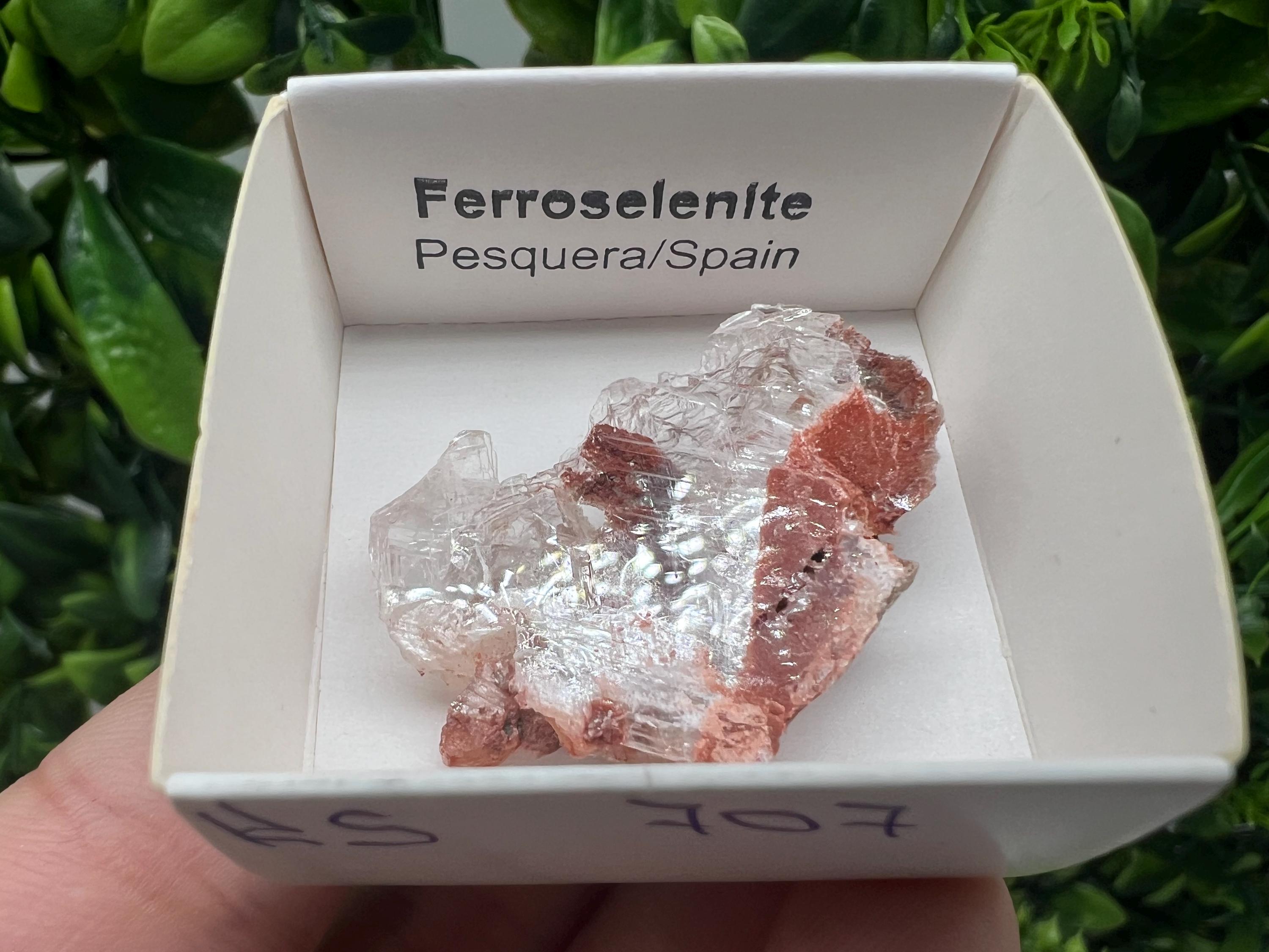 Rare Ferroselenite Specimen: La Pesquera, Spain Mineral Crystal (3.3/3 cm)
