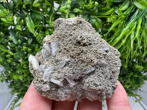 Barite Marcasite Cluster on Chalcedony, Bulgaria Mineral Specimen