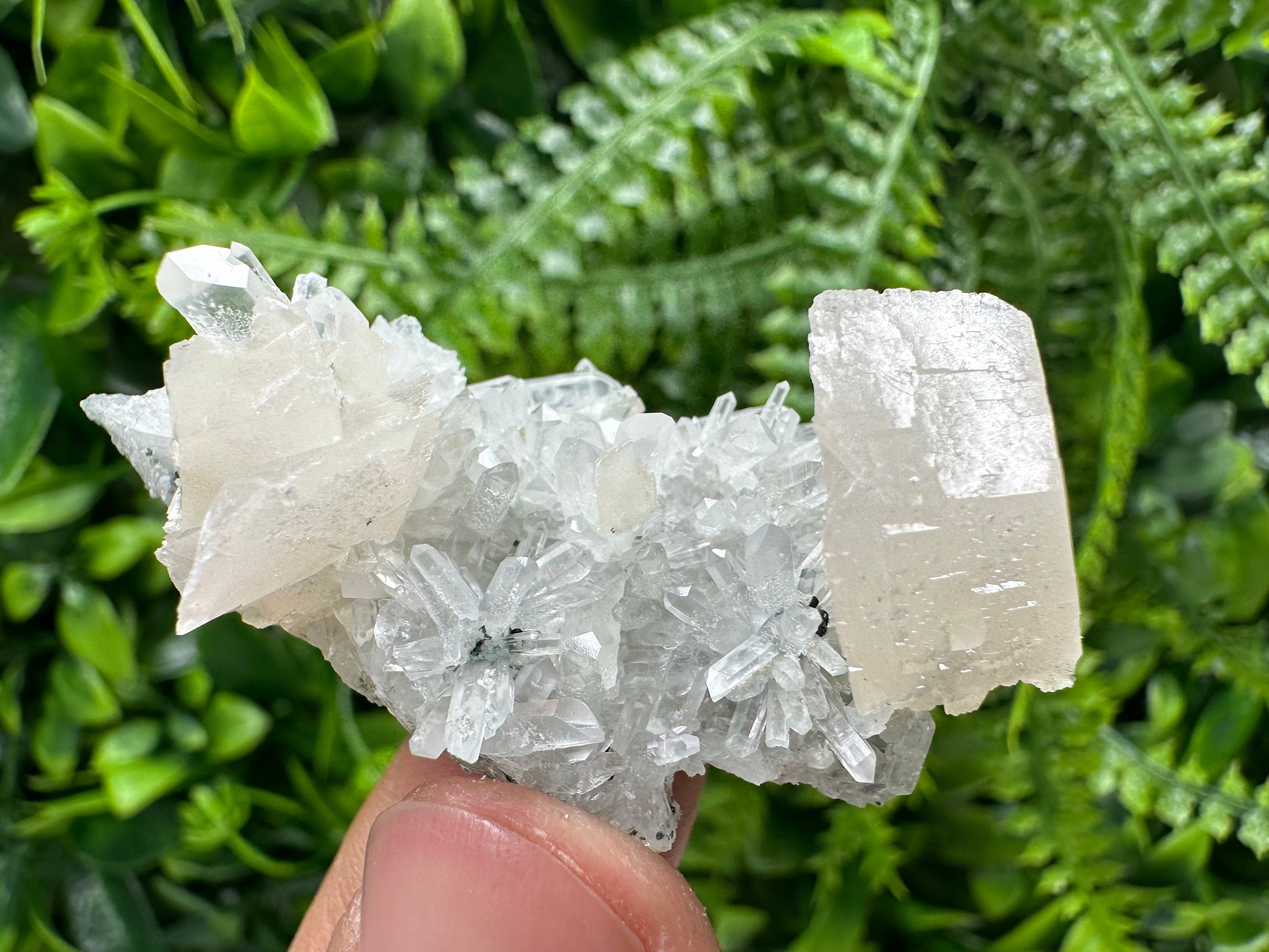 Calcite on Quartz Crystal: Borieva Mine, Bulgaria