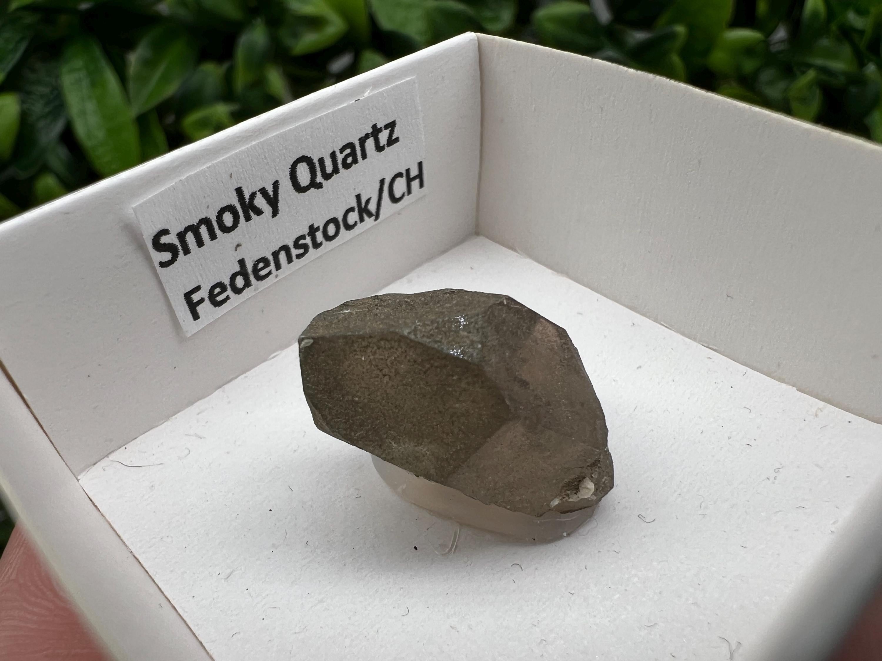 Rare Smoky Quartz from Fedenstock (mountain) Switzerland,Mineral,Specimen,Collection,Black Quartz,Mineral,Home,Smoky Quartz,Quartz point
