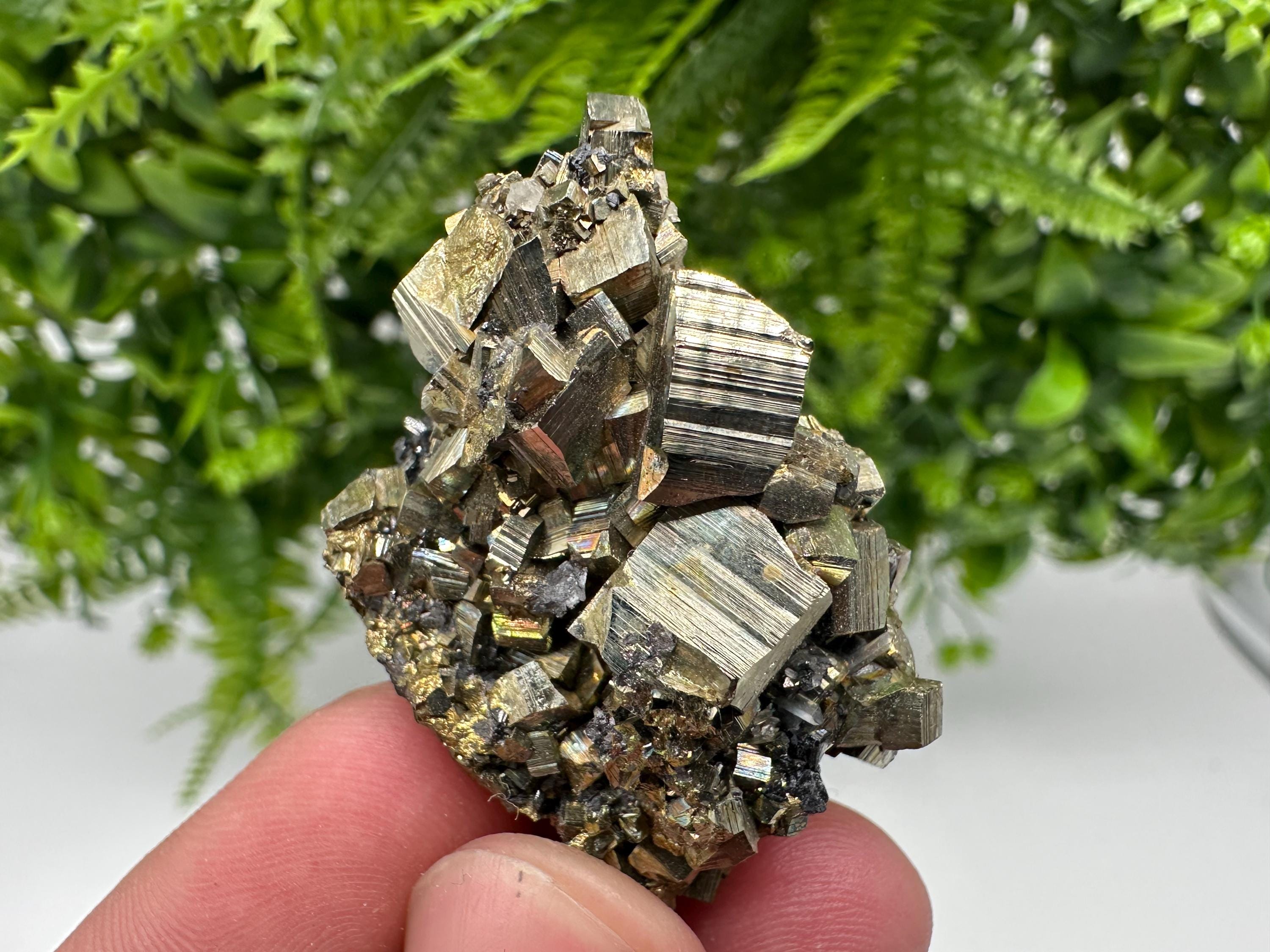 Rare Crystallized Pyrite Cluster - Borieva Mine, Bulgaria