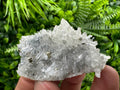 Pyrite on Needle Quartz: Borieva Mine Crystal Decor (6/4/3 cm)