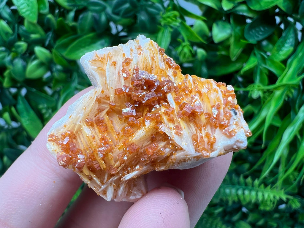 Red Vanadinite on Barite from Marocco,crystal minerals Speciment cluster Vanadinite crystal Vanadinite Geology Vanadinite cluster minerals