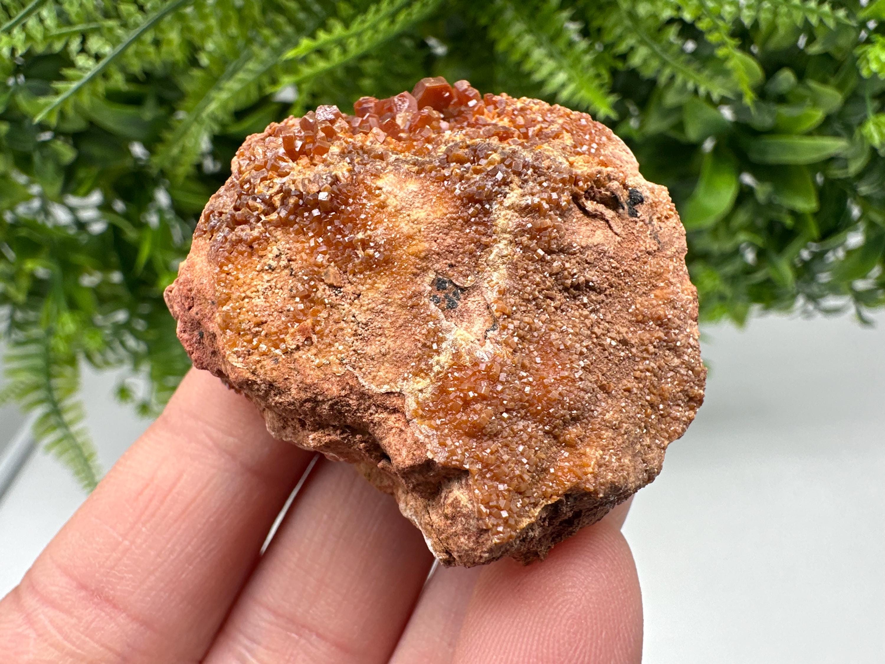 Red Vanadinite on Matrix from Marocco,crystal minerals Speciment cluster Vanadinite crystal Vanadinite Geology Vanadinite cluster minerals