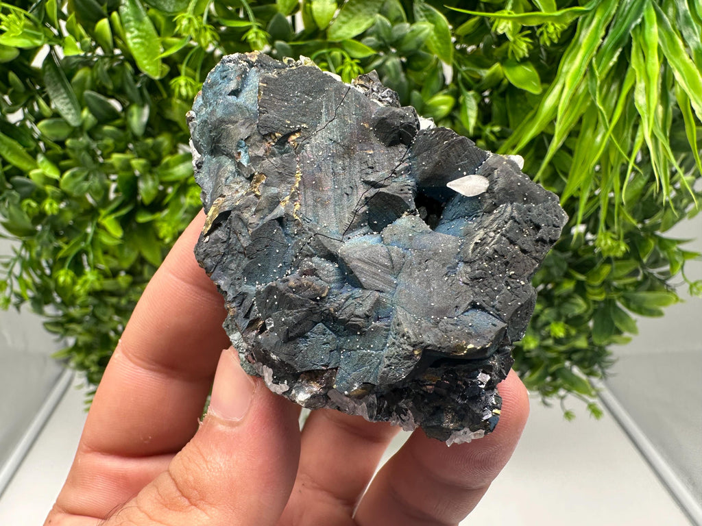 Chalcopyrite Bornite Covelline Mineral Specimen: Djurcovo Mine, Bulgaria