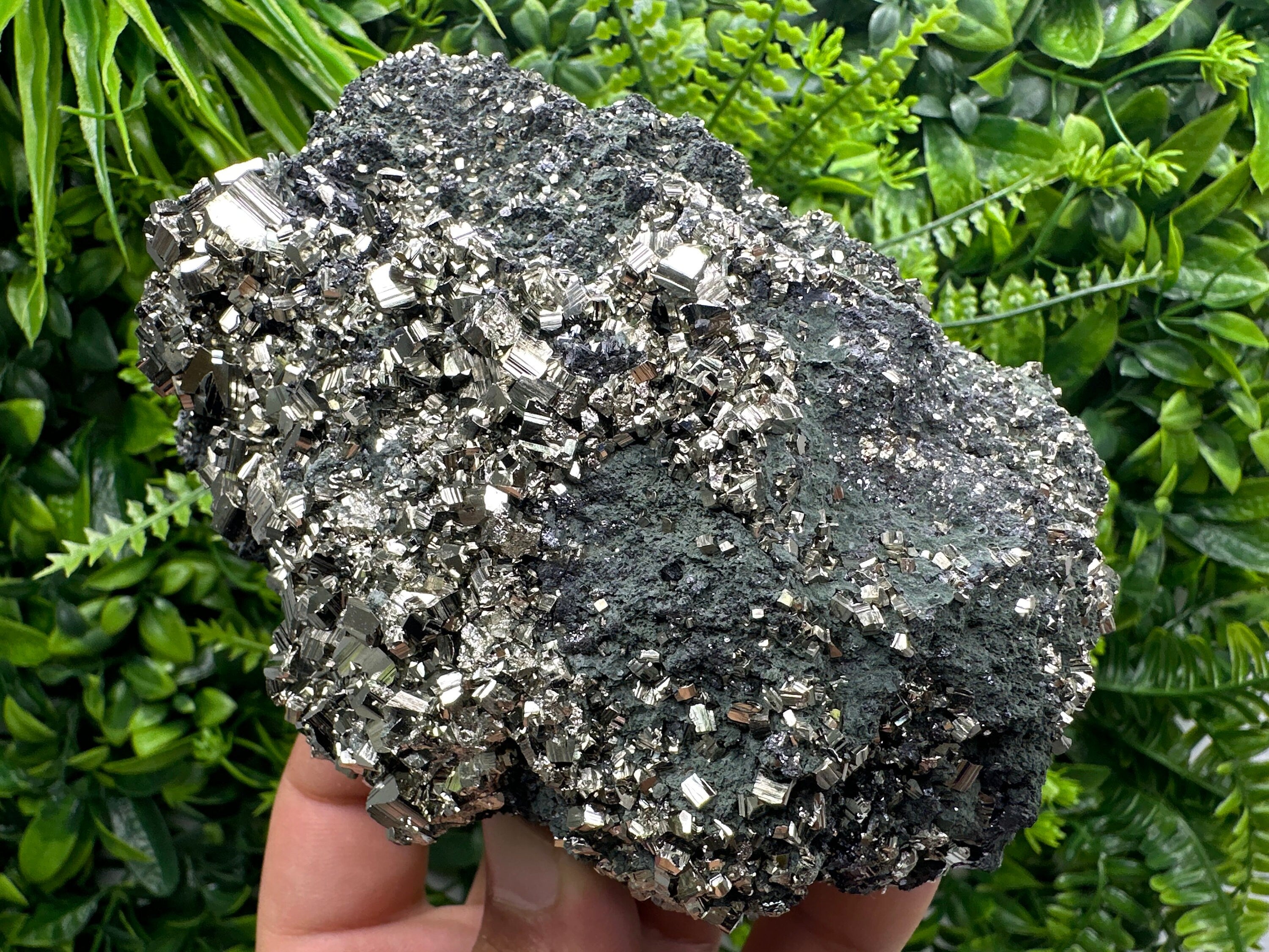 Golden Pyrite on Sphalerite with Chlorite, Bulgaria Mineral Specimen