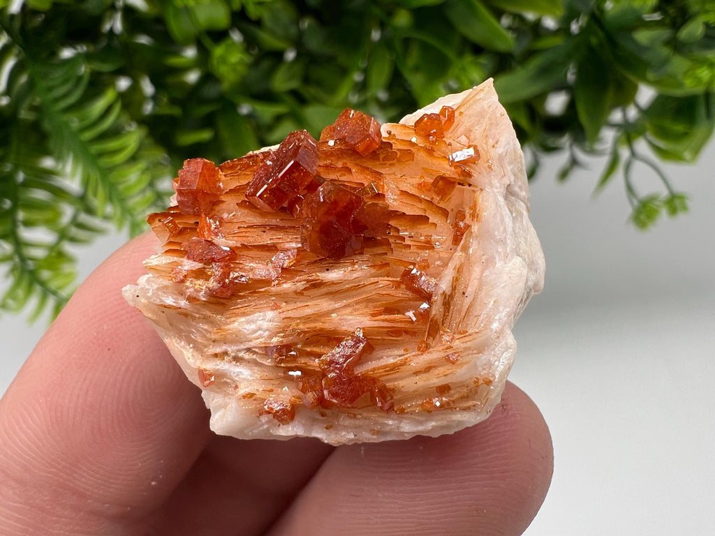 Red Vanadinite on Barite Specimen, Moroccan Crystal Mineral Cluster