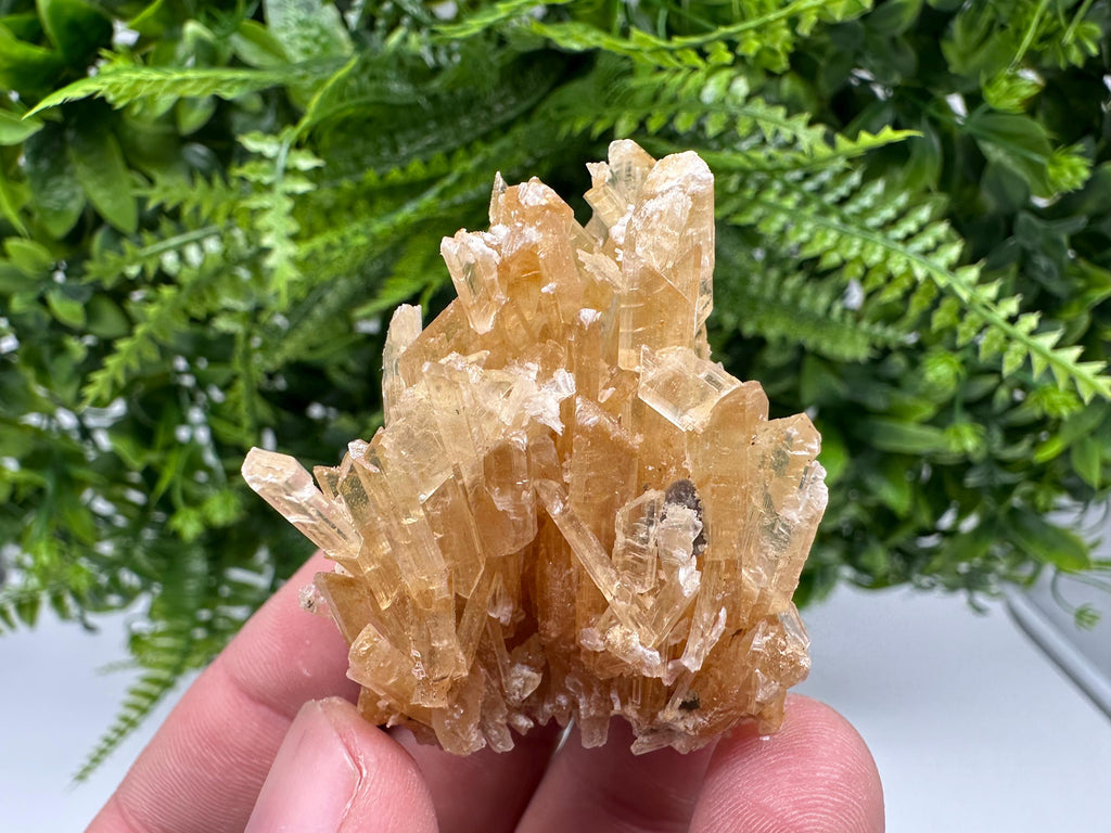 Brown Gypsum Selenite Crystal, Rudna Mine Poland, Mineral Specimen