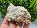Dolomite Mangano Calcite with Barite on Marcasite, Androvo Mine Bulgaria