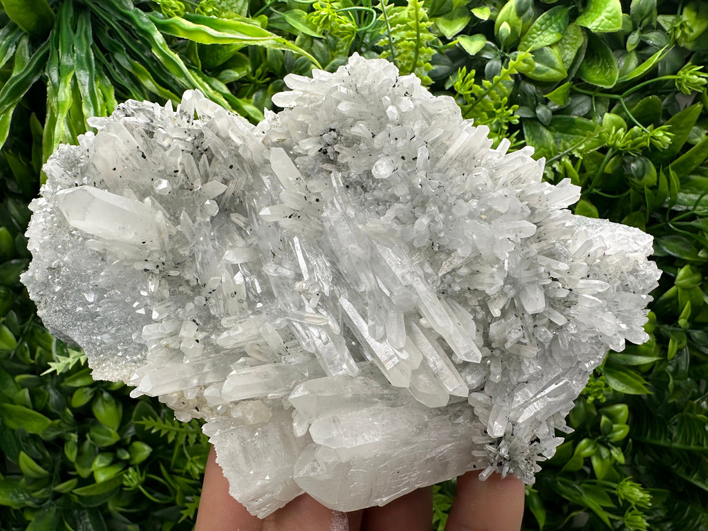 Transparent Quartz Crystal, Borieva Mine Bulgaria, Mineral Specimen