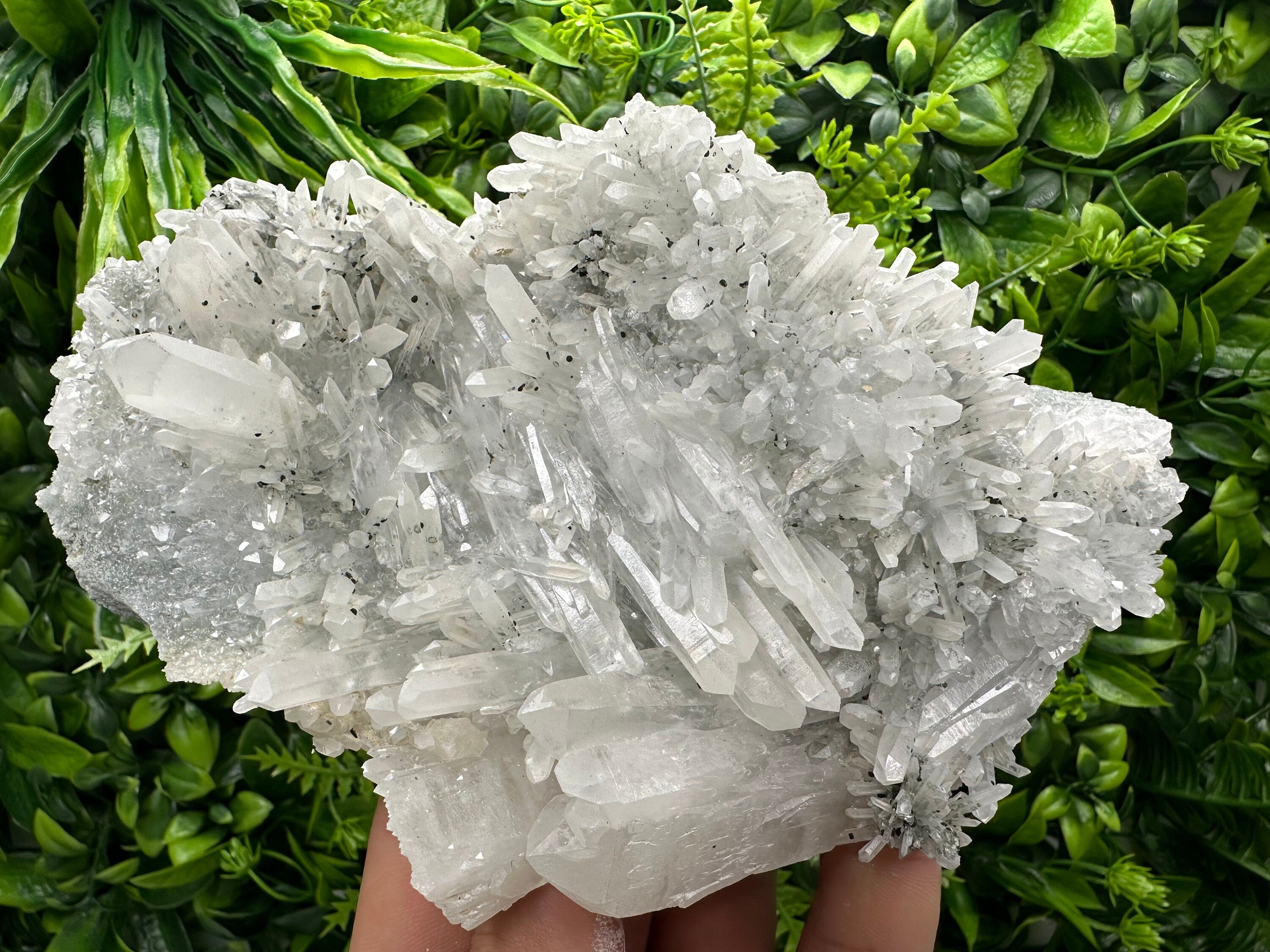 Transparent Quartz Crystal, Borieva Mine Bulgaria, Mineral Specimen